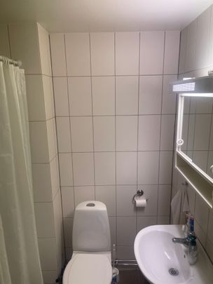 Södra Stenbocksgatan, Helsingborg - Photo 1