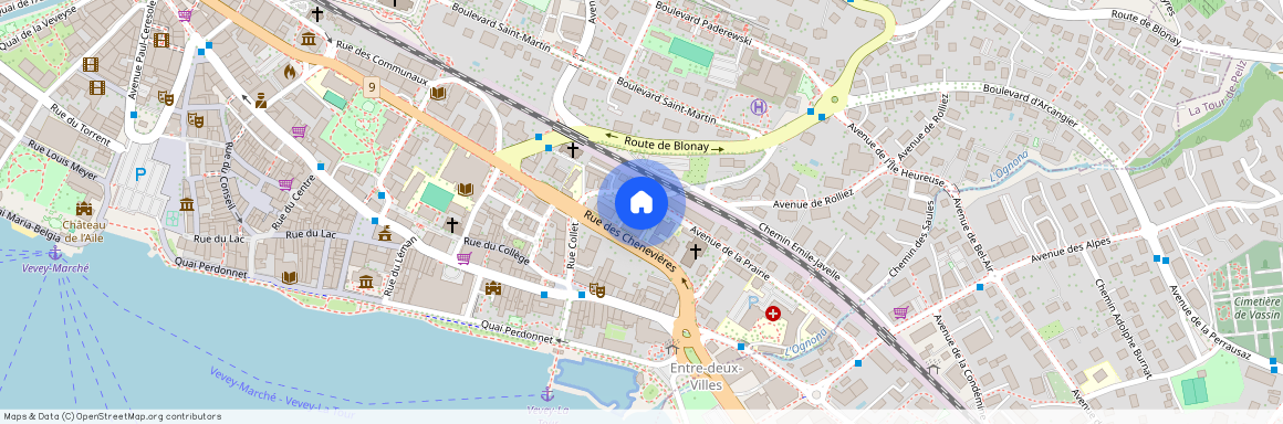 Rue des Chenevières 16, 1800 Vevey