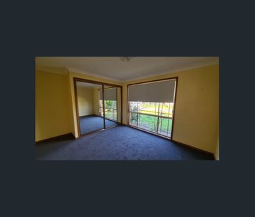 Located in a quiet tree-lined cul-de-sac - Photo 4