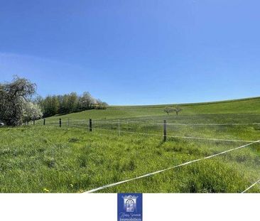 Wohlfühlwohnung in traumhaft grüner Lage! Tageslichtbad, separate K... - Foto 2