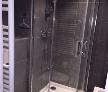 Location Appartement 1 pièce 19m² - Photo 3