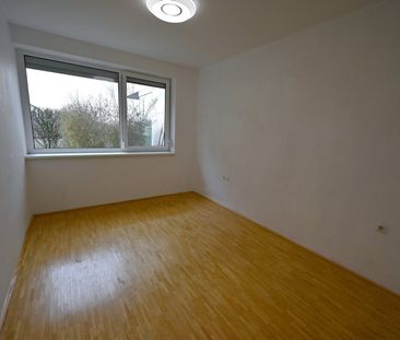 Neu ausgemalte Gartenwohnung mit NEUER KÜCHE, Südost-Ausrichtung & ... - Foto 3