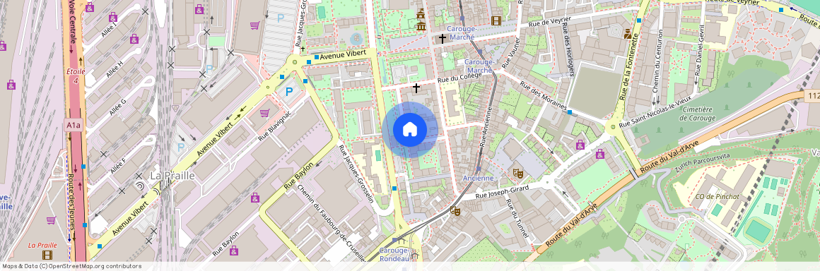 1227, Carouge GE, Rue de la Faïencerie, 13