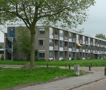 Orxmasingel 58 - Foto 5