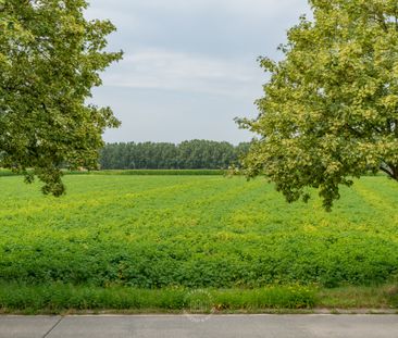 Huis te huur in Deinze - Foto 5