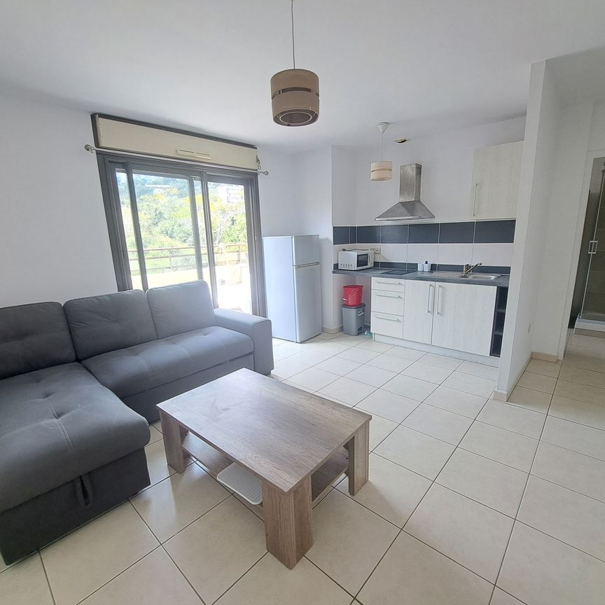 Location Appartement 1 pièce 26m² ST DENIS 97400 - Photo 1