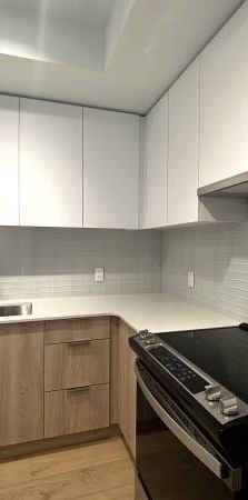 Brand New 1 Bed + Flex, 1 Bath Condo - Milagro - Photo 1