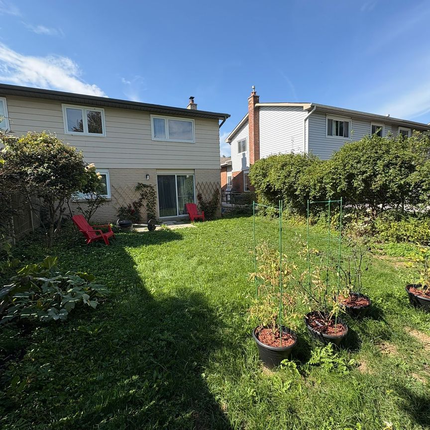 For Lease - 3467 Longleaf Court Unit# Main, Mississauga, Ontario - Photo 1