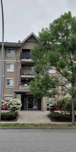 BACHELOR UNIT, 2nd floor, Clearbrook - Photo 4