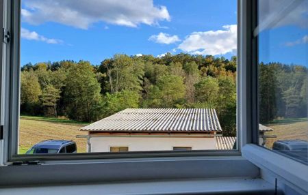 Sonnige Garconniere Pendler/Single/Ferienhit mit Parkplatz - Photo 4