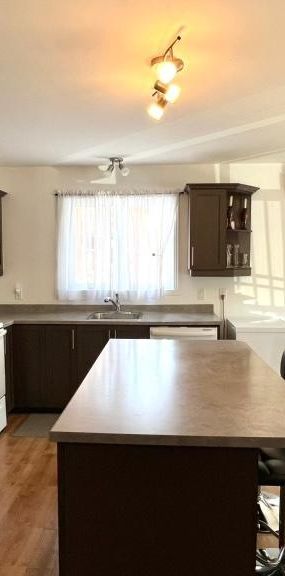 appartement 2 chambres, st-hubert - Photo 1