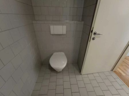 HOFRUHELAGE! Wunderschöne Singelwohnung – Nähe Westbahnhof - Foto 2