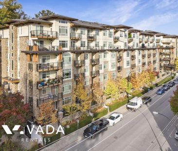 1 Bedroom Apartment For Rent in Port Coquitlam - Photo 3