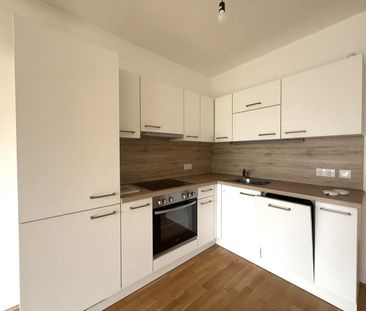 Großzügige 4-Zimmer-Neubauwohnung mit SÜD-Loggia nahe Akademiepark - Foto 3