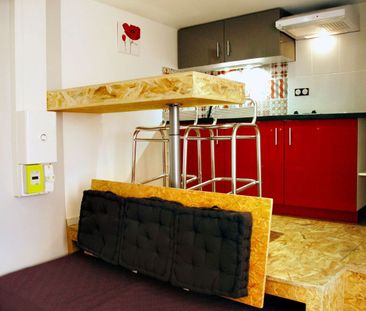 Location Appartement 1 pièce 16m² ROMANS SUR ISERE 26100 - Photo 3