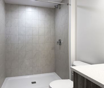 For Lease - 347 Canada Plum Street Unit# Lower, Waterloo, Ontario - Photo 5