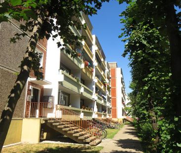 Renovierte 3-Raum Wohnung in der Innenstadt! - Foto 6