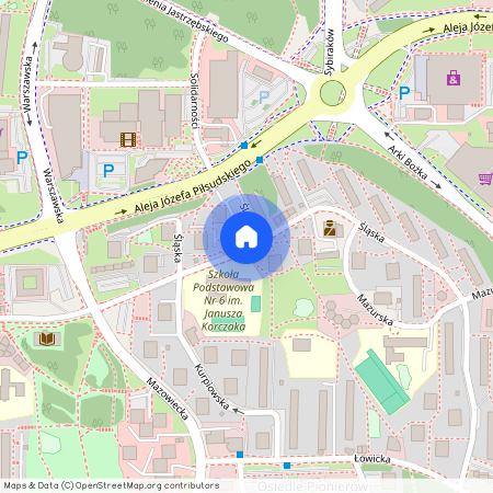 ul. Śląska, Jastrzębie-Zdrój, śląskie