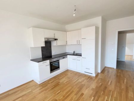 Moderne 2-Zimmer Wohnung mit Balkon -Top Floor Apartment- Ab sofort - Foto 3