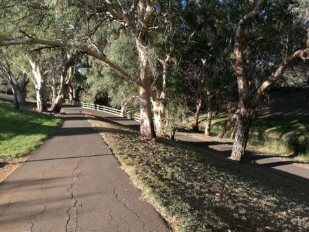 Family Home Close to O Bahn - Photo 4
