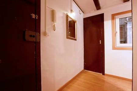 Carrer Nou de la Rambla, Barcelona, Catalonia 08004 - Photo 4