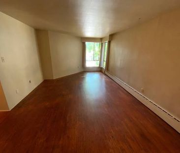 Marpole Studio for Rent !!! - Photo 1