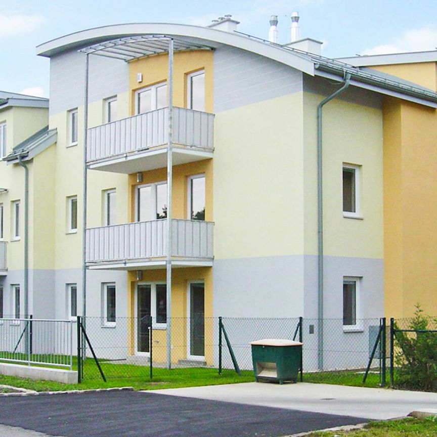 Mietwohnungen in Niedrigenergiehaus - Photo 1