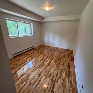 1 CH - 1 SDB - Montréal - $1,000 /mo - Photo 2