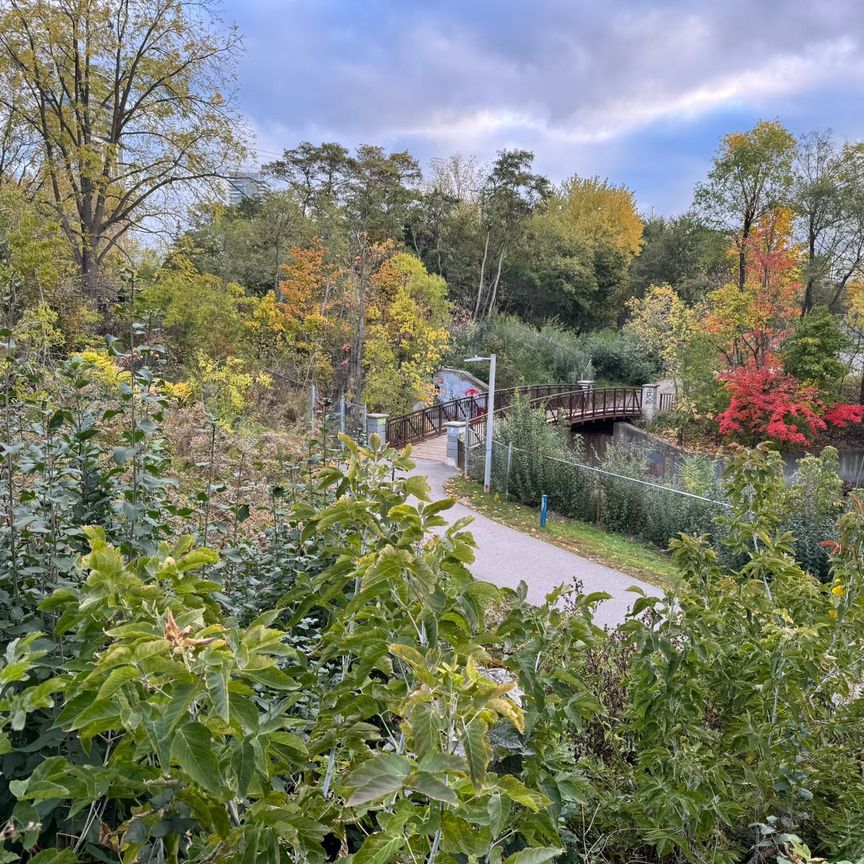 For Lease - 87 Wellington Street Unit# Lower Level, Brampton, Ontario - Photo 1