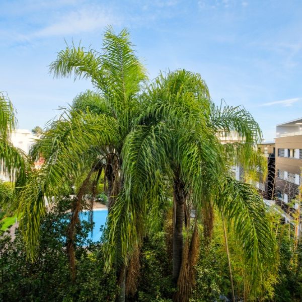 Apartamento T3 em Lisboa - Photo 1