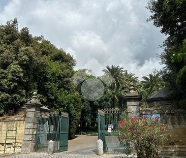 Monolocale in affitto - Photo 1