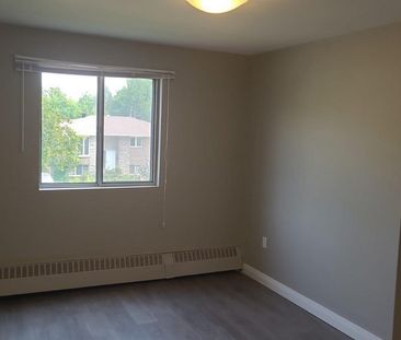 apartments at 1 Humber Court - Photo 5