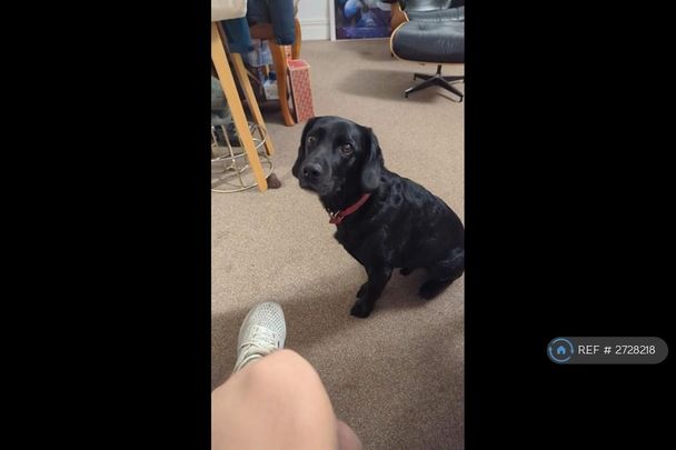 1 bedroom in a flat share to rent - Photo 1