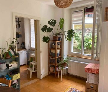 3 Zimmer, 45 m², EG - Foto 5