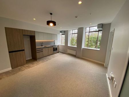 Modern 2bedroom Apt in Hutt Central - Photo 4
