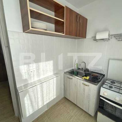 Garsoniera 30 mp, pet friendly, Brazda lui Novac - Fotografie 1
