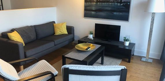 Magnifique bachelor style loft - 1450$/mois - tous frais inclus - il ne reste plus qu’à déposer votre valise - disponible le 1er Février 2025 - Photo 2