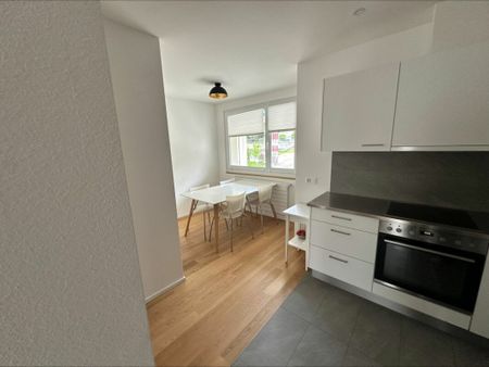 2.5 Zimmer, 49 m², 1. Stock - Foto 2