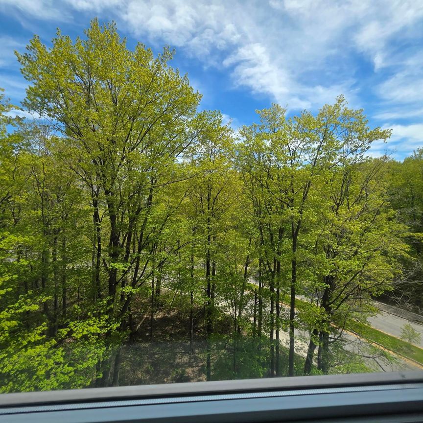 For Lease - 190 Borough Drive Unit# 802, Toronto, Ontario - Photo 1