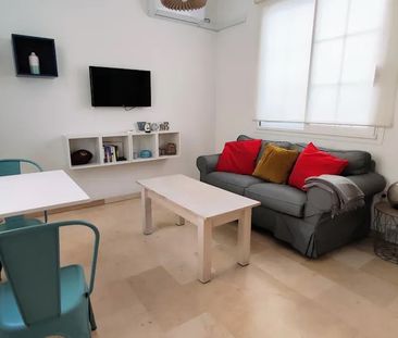 Calle Rodrigo de Triana, Sevilla, Andalusia 41010 - Photo 3