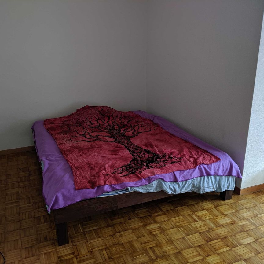 Singelwohnung an Top-Lage! - Foto 1