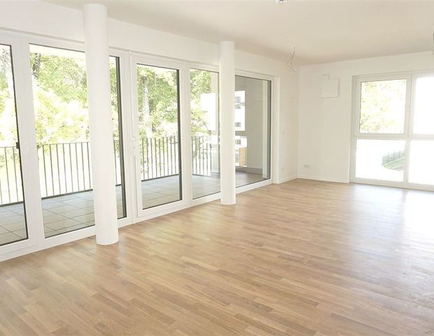 Energieeffiziente Wohnung mit direktem Moselblick – 2-Zimmer-Wohnung mit großzügiger Terrasse, Einbauküche & Tiefgaragenstellplatz - Photo 1