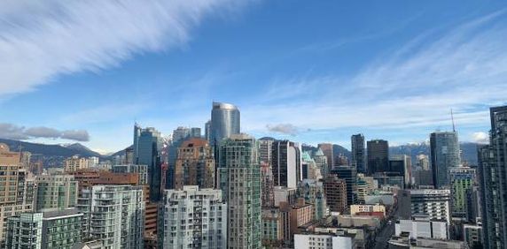 2 Bedroom 2 Bathroom YALETOWN PENTHOUSE - Photo 2