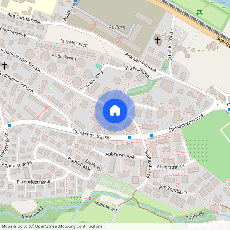 Johannes-Hirt-Strasse 5, 8804 Wädenswil-Au