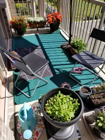 For Lease - 170 Hornchurch Lane Unit# C, Barrhaven, Ontario - Photo 5