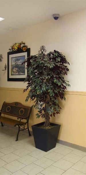 Canboro Garden - Photo 1