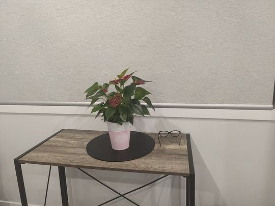 Modern 3-Bedroom Fully Furnished Home – Available - Photo 1