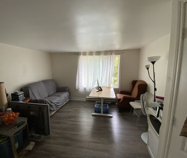 1 Chambre Appart À Louer Gatineau Hull - Photo 1