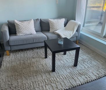 For Lease - 385 Osler Street Unit# 212, Toronto, Ontario - Photo 6