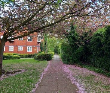 2 Bed Flat, Anthistle Court, M5 - Photo 6